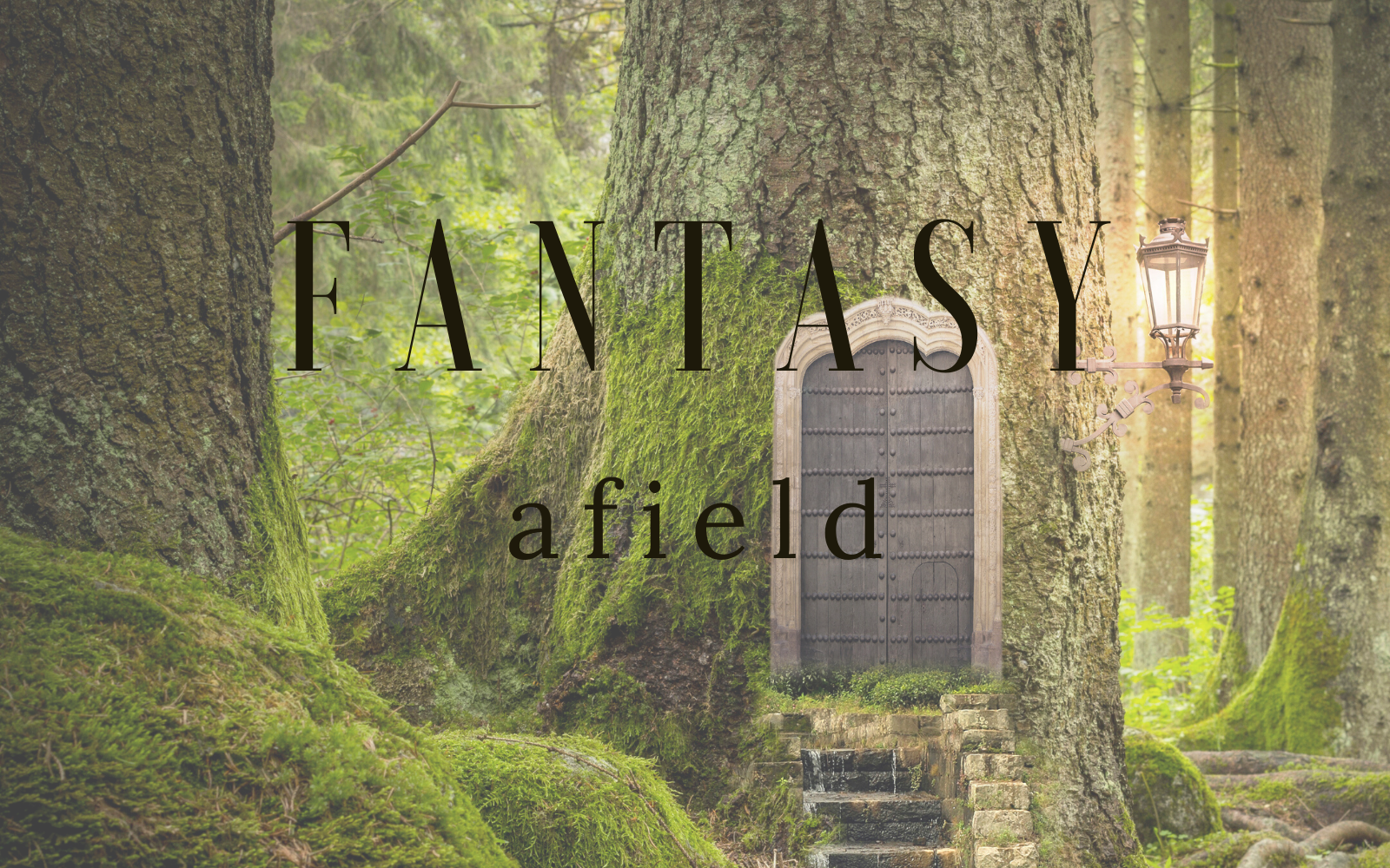 picture of a tree with a fairy door and the words fantasy afield